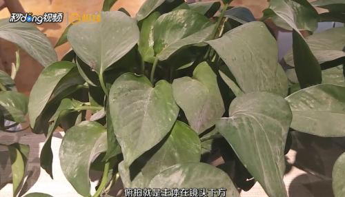 视频拍摄技巧有哪些