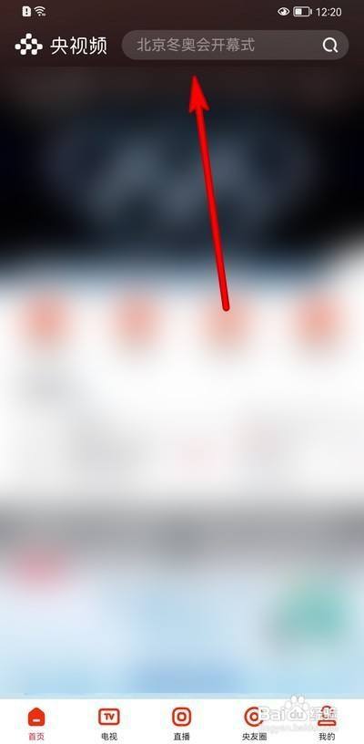 怎么观看北京冬奥会开幕式回放 百度经验