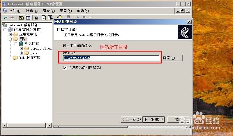 iis新建网站即网站配置