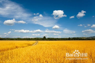 农业用地如何使用