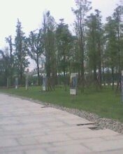 太阳神鸟——金沙遗址游览