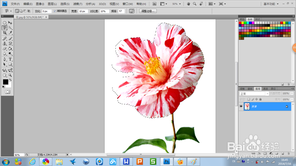 PhotoshopCS4简单操作应用：[4]不规则选择