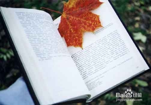 大学生怎样度过充实祥和的期末复习阶段