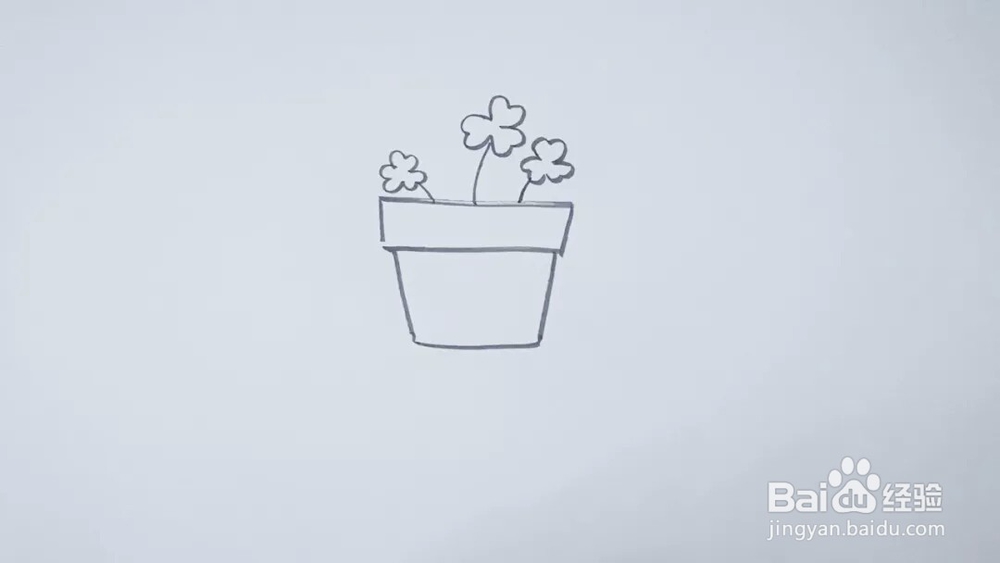 怎么画盆栽三叶草