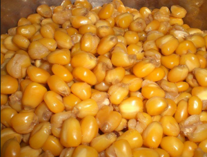 玉米棒子打窝技巧