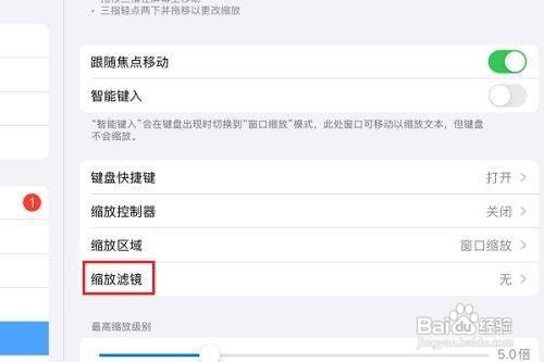 ipad怎么设置缩放滤镜