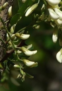 监理施工要点37