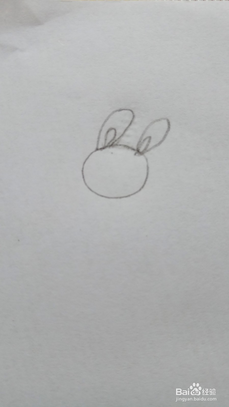 儿童简笔画彩色小兔子的画法