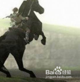 旺达与巨像骑马技巧