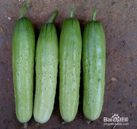 美白的内调果蔬汁