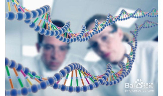 卵巢功能不佳受什么影响?有何好孕之策?