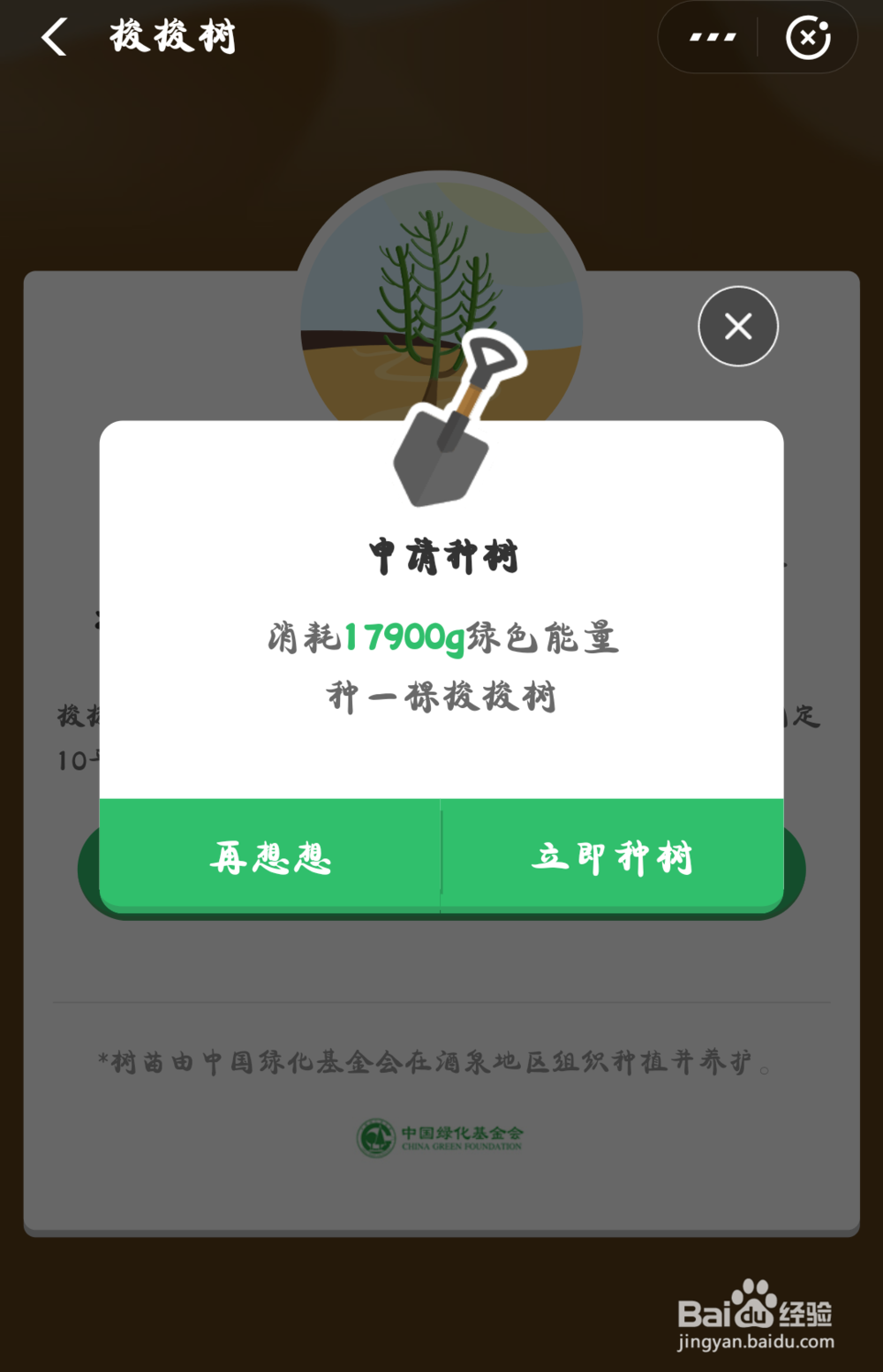 蚂蚁森林怎样种树