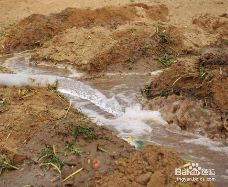 磷酸二氢钾的使用方法