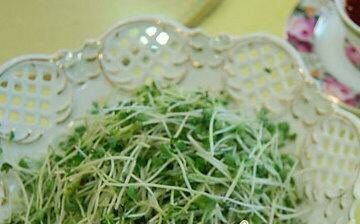 警惕：10种危险食物大揭秘