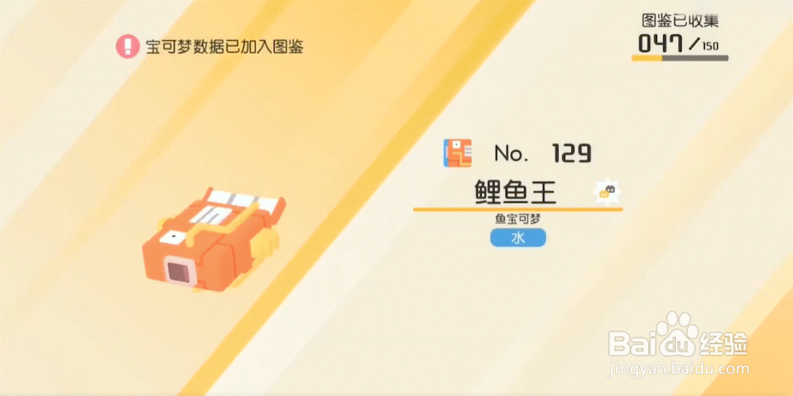 宝可梦大探险鲤鱼王几级进化？