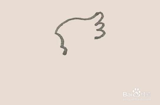 伴儿成长简笔画系列-怎样画鹦鹉简笔画