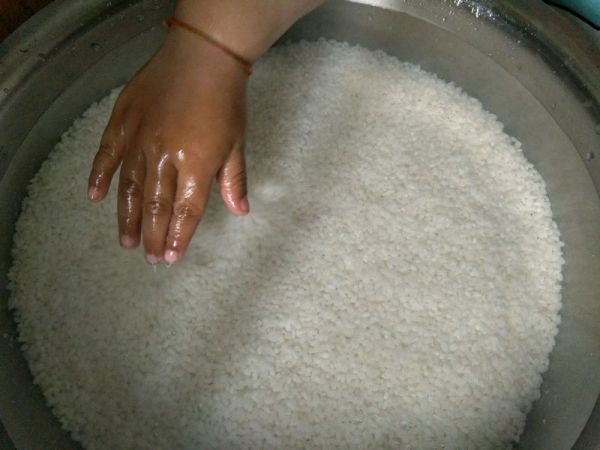 蜜枣粽和蛋黄粽