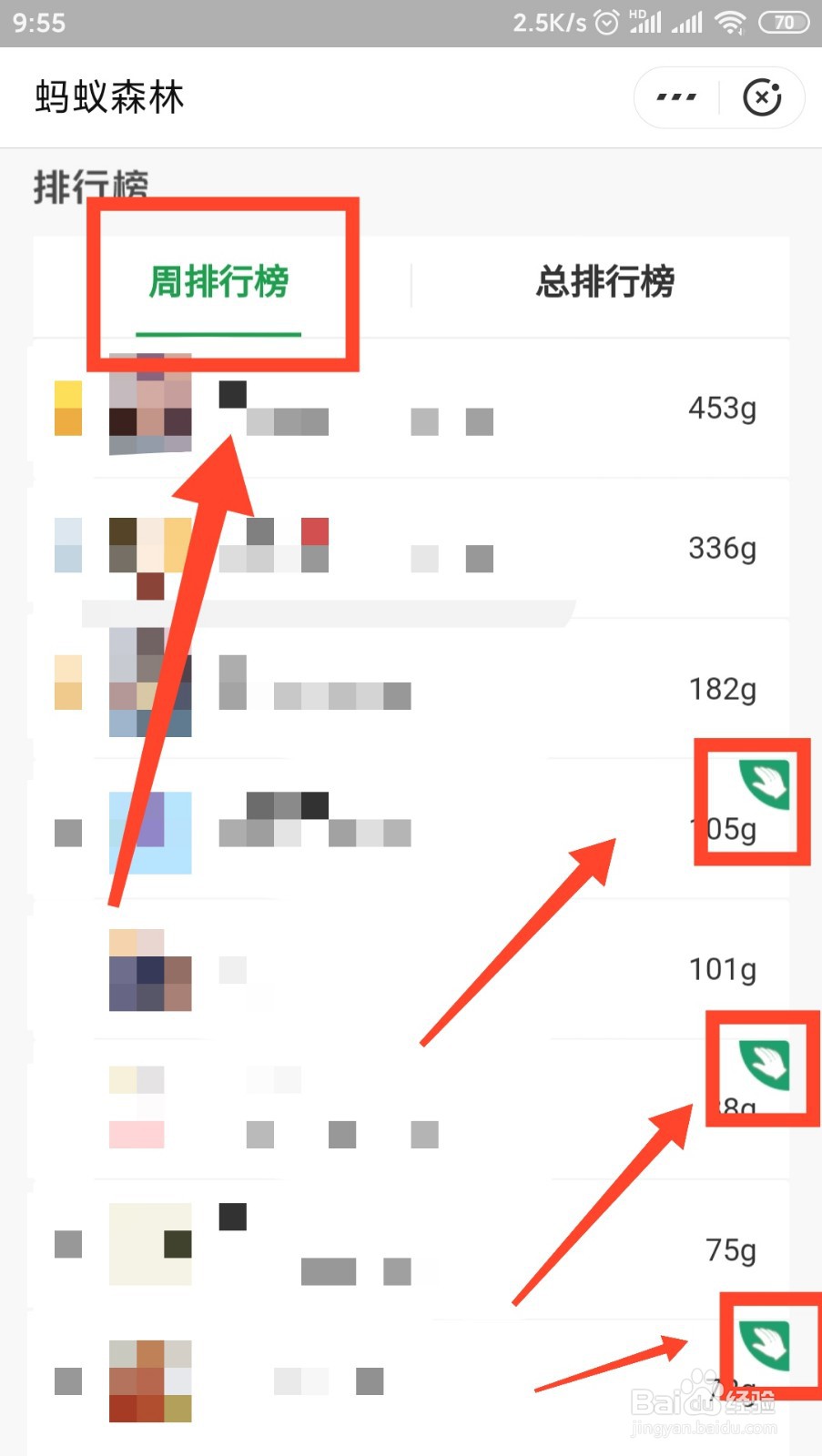 蚂蚁森林怎样结出800多克能量