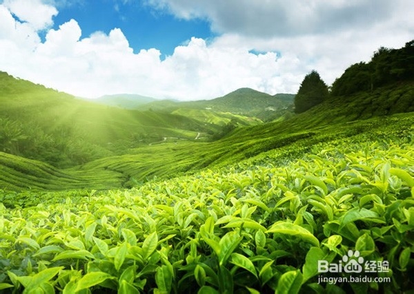 如何过年这一关