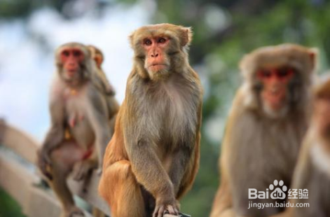 怎样提高手机摄影的水平