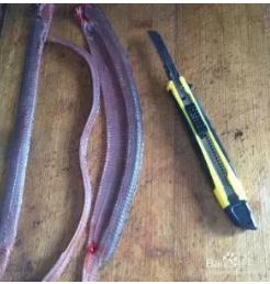 杀黄鳝去骨技巧教程