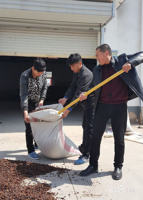土元这样养殖管理