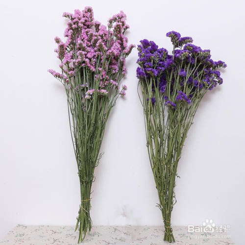 勿忘我怎么养成干花