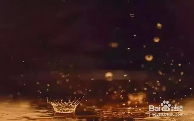 七个摄影小技巧,让你在雨天也能拍出好照片