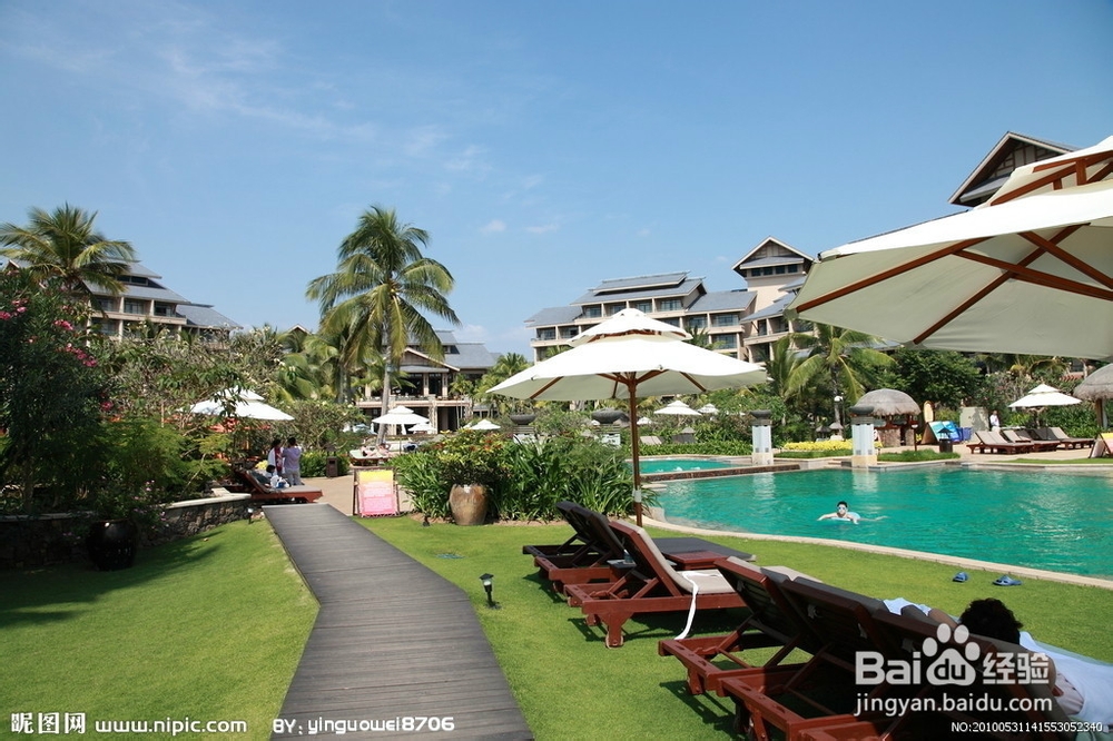 饮食文化素菜的做法