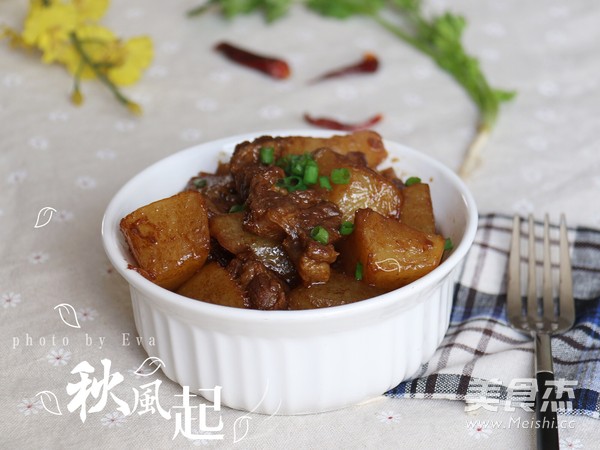 无肉不欢-白萝卜炖牛腩