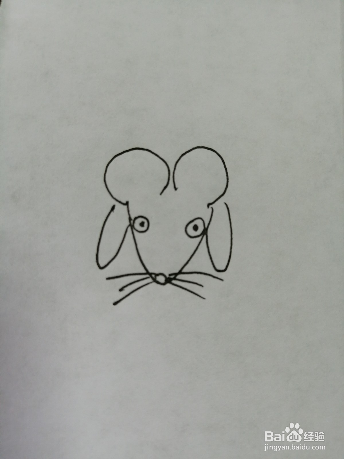 简笔画小老鼠怎么画