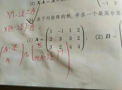零子式是什么意思