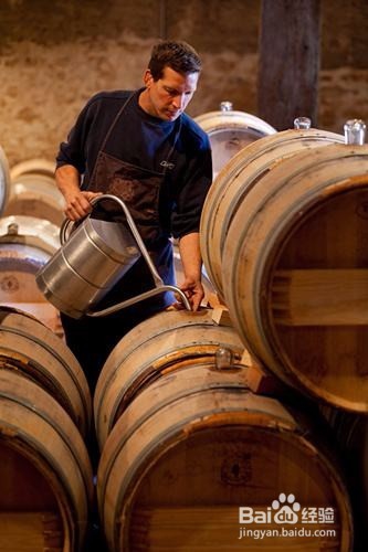 学了葡萄酒知识后，可以做些什么呢