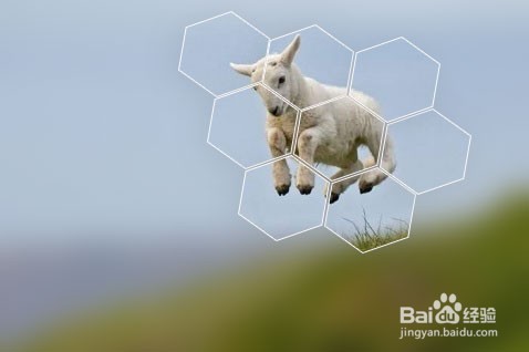 ps制作拍立得图片效果