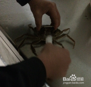 年夜饭大菜之香辣蟹