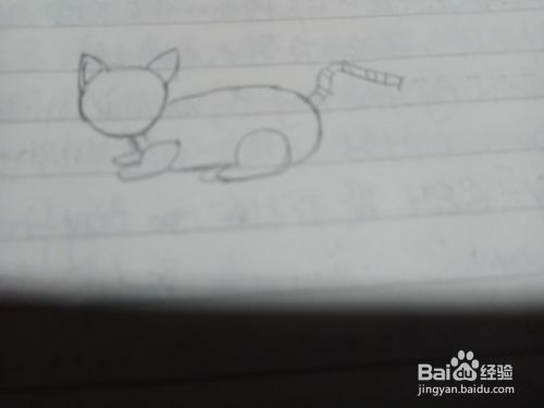 如何画波斯猫