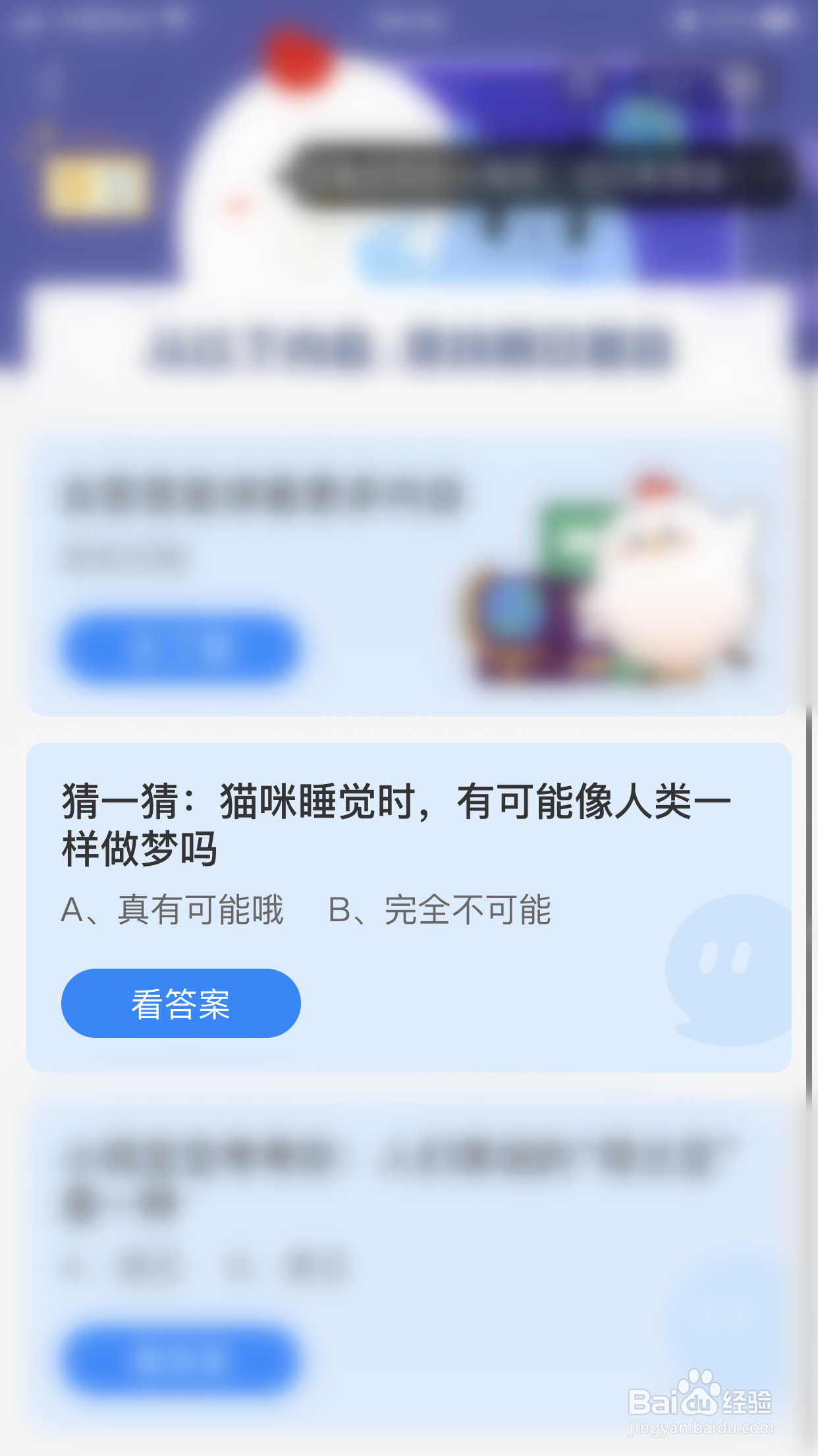 蚂蚁庄园:猫咪睡觉时可能像人类一样做梦吗