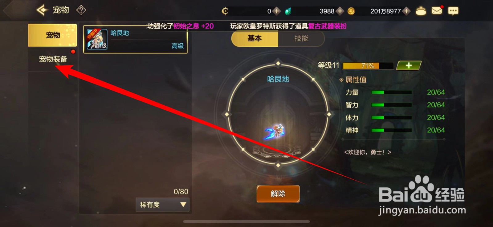 DNF手游如何变更宠物属性