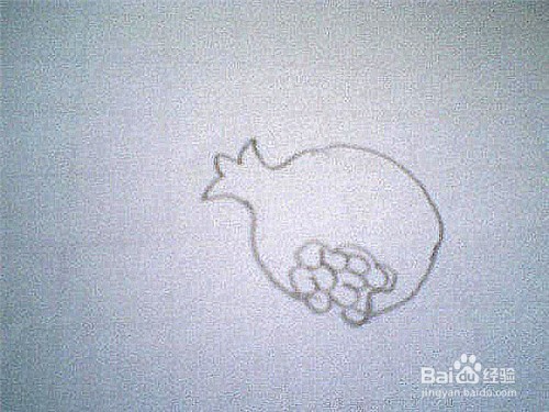 简笔画石榴的画法