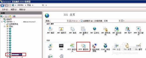 windows server2008 解决IIS301域名重定向问题