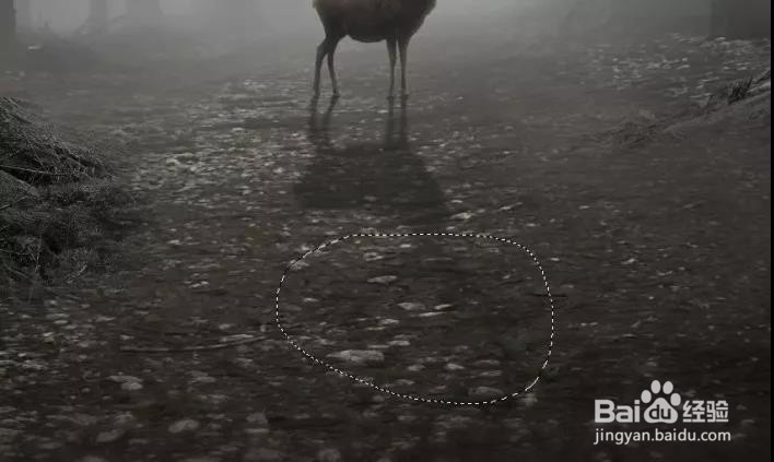 PS:合成一个奇幻神秘的森林场景(下)