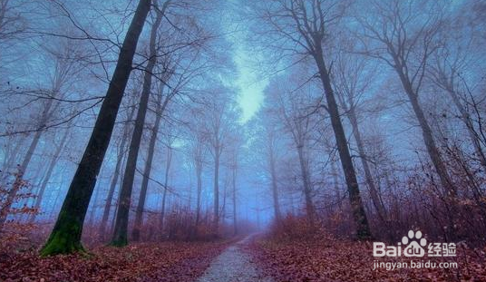 如何把握好拍摄时光线的角度