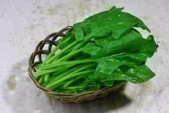 菠菜有什么医用价值?