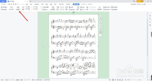 为什么wps里面的图片显示不出来