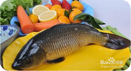 什么情况下,不可以吃鱼以及鱼的什么部位不能吃