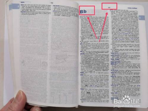 英语词典怎么查单词