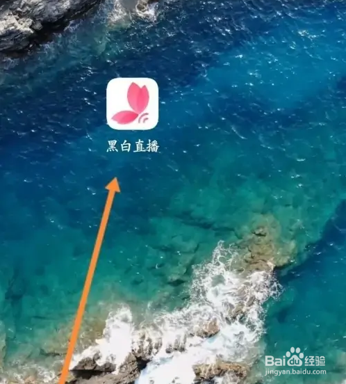 黑白直播APP怎样查看ID信息