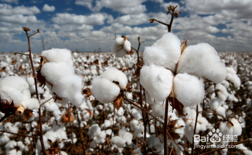 白带过多,热水坐浴十分钟！