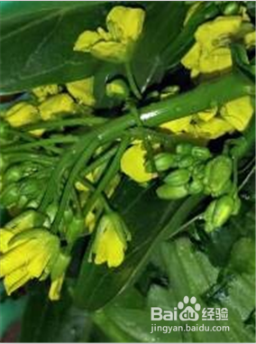 如何炒甜香的菜花