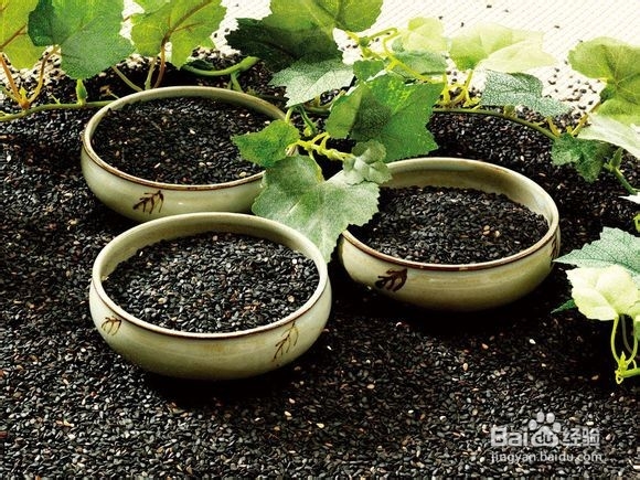 防止白发的几个小妙招